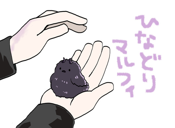 ひなどりマルフィ・他