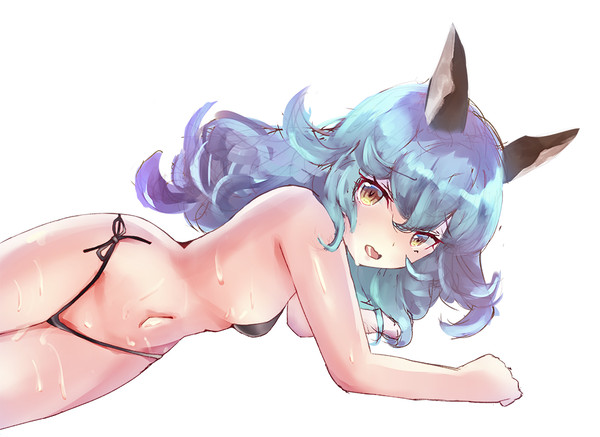 フェリちゃん