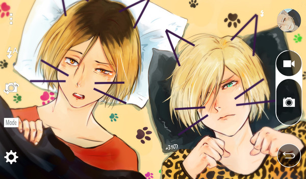 2匹の猫