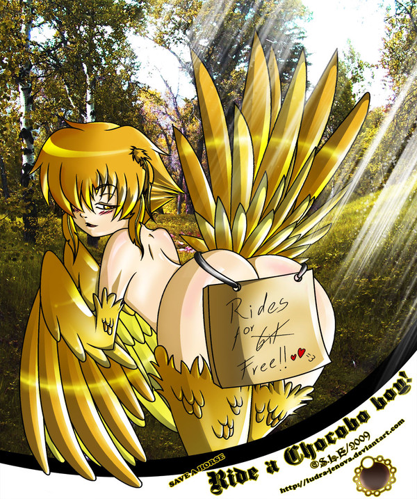 Chocobo boy