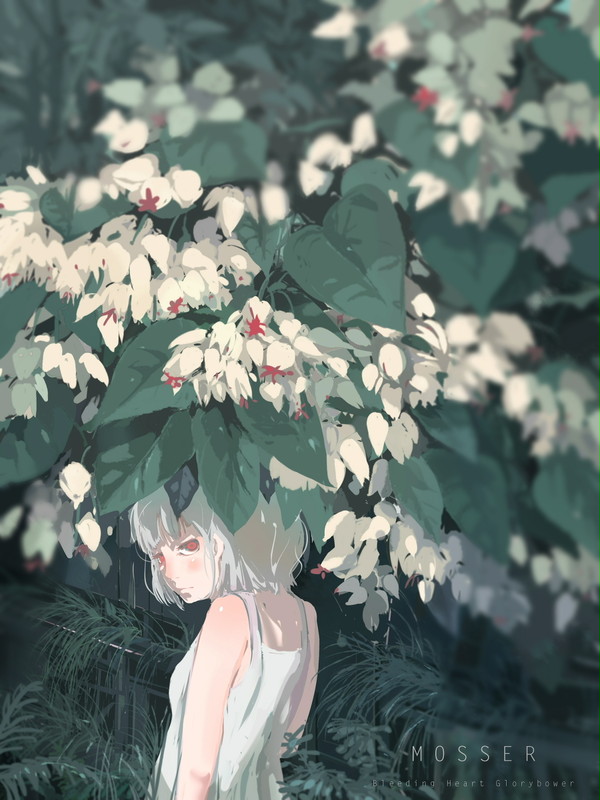 Bleeding Heart Glorybower