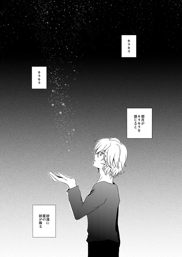 【砂那】再録・蜜色ポーラスター/星の砂