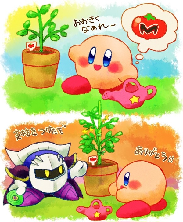 メタカビつめ