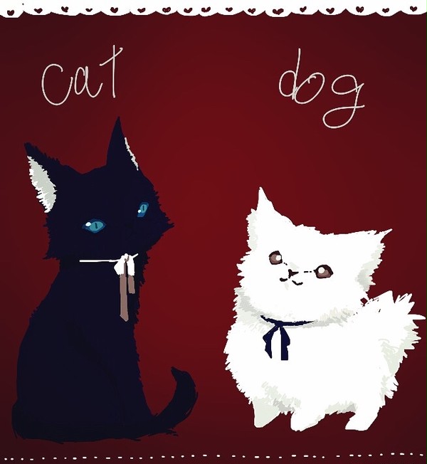 cat or dog?