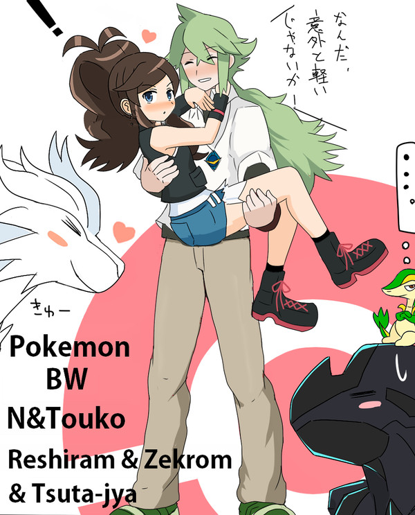 N＆トウコ(キャラ崩壊注意）とポケモンたちまとめ