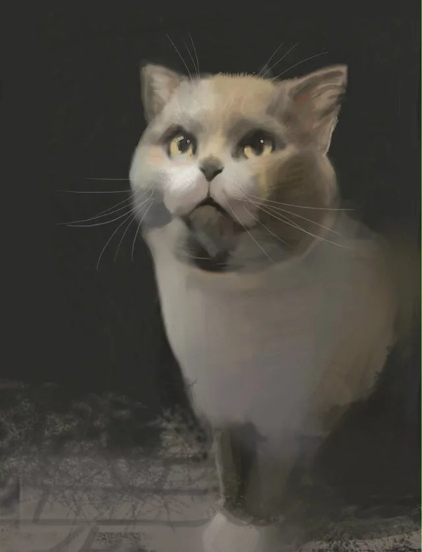师父的猫——陈大人