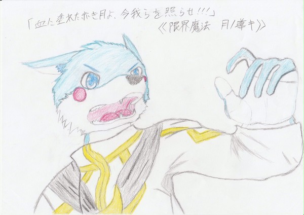 ルア 魔法詠唱カットイン
