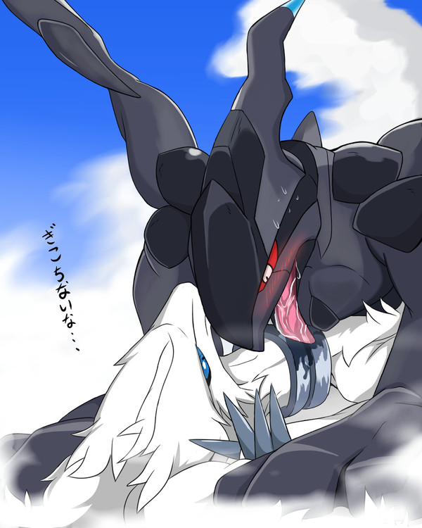 白と黒