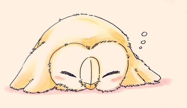 おやすみ