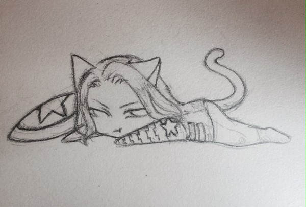 cat