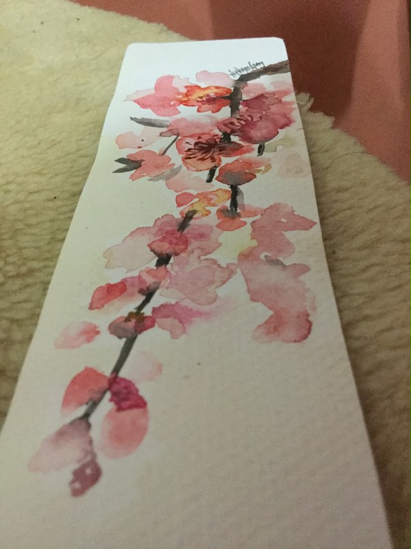 Sakura in bloom