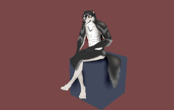 お久しぶりです・・・