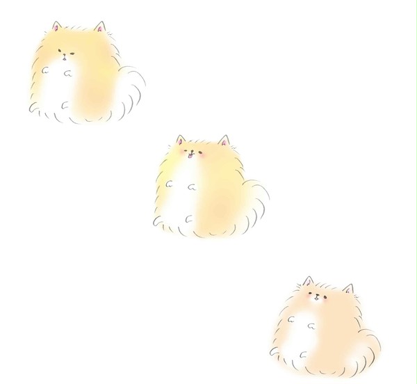 3ポメ