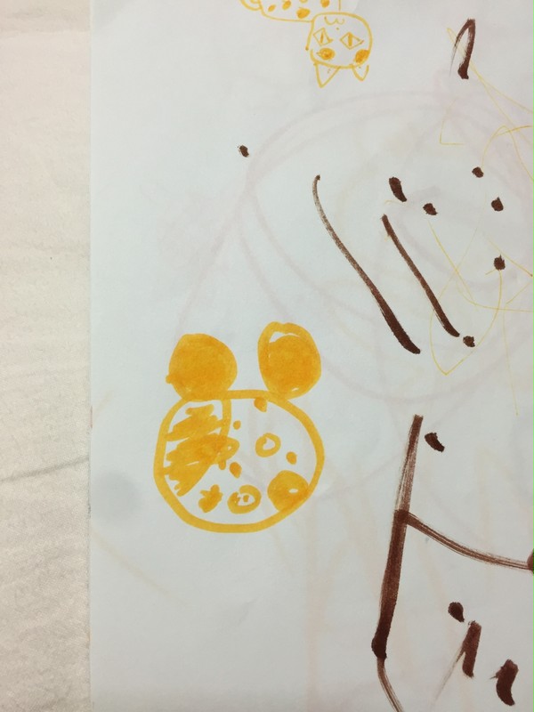 豹？とネコ