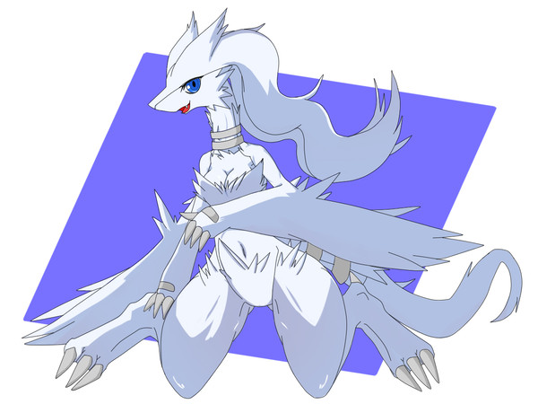 レシさん
