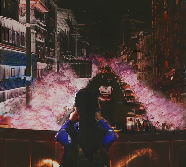 夜樱街道