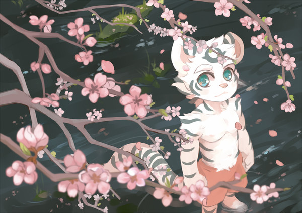 桃華