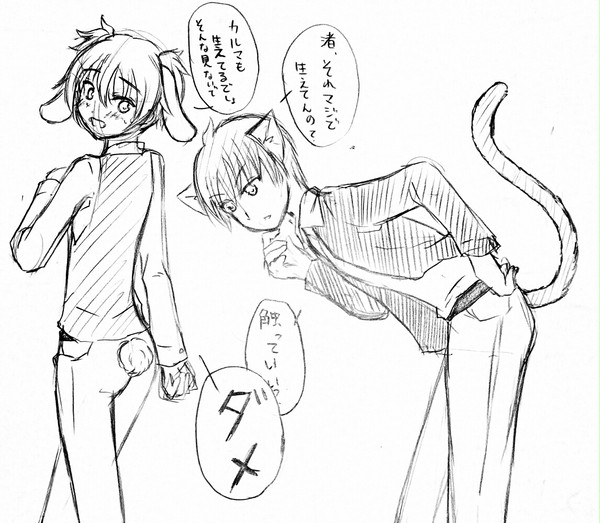 カル猫と渚ウサギ