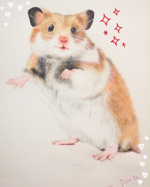 ハムスター
