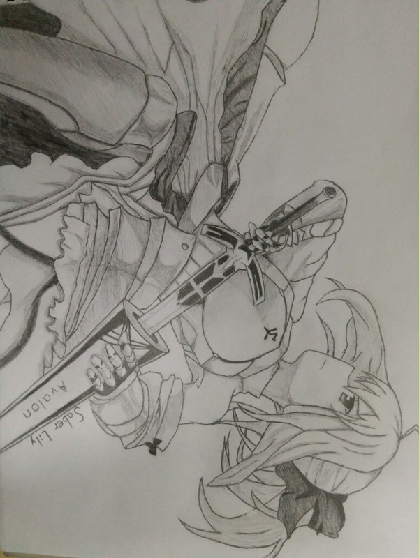 Saber Lily