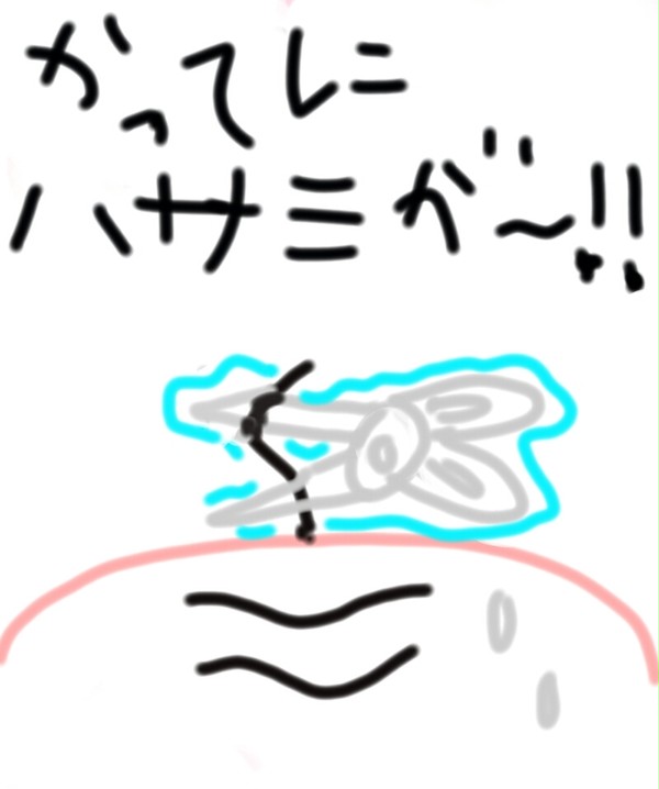 磯野波平の夢(笑)