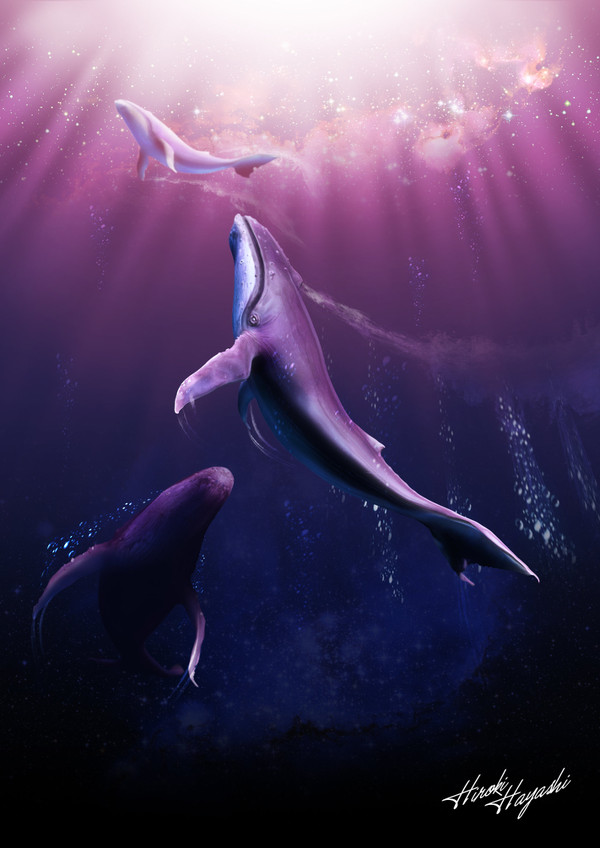 Whale