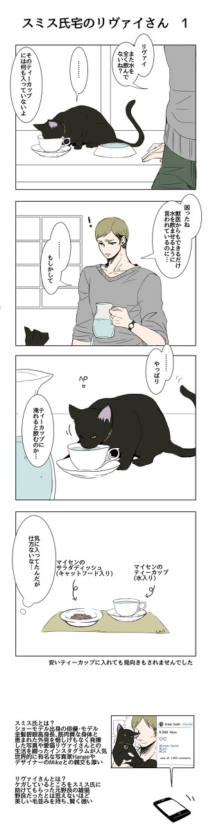 スミス氏宅のエレリまとめ