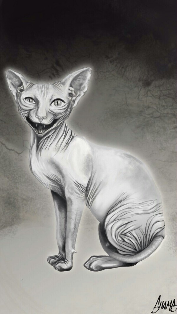 meow!