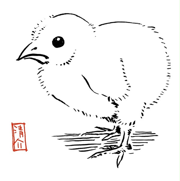 2017 酉