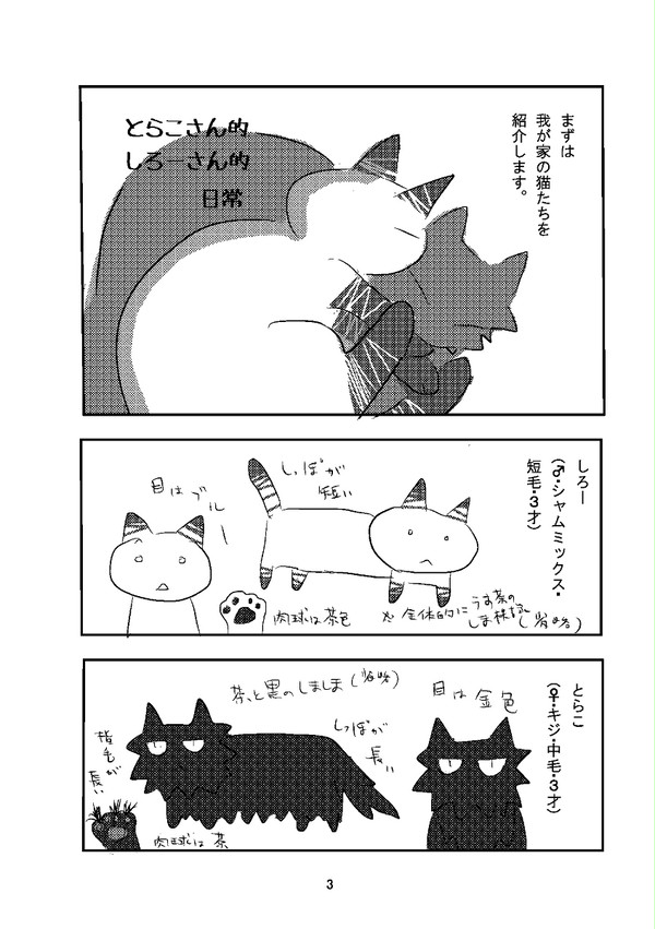 うちの猫たちについて