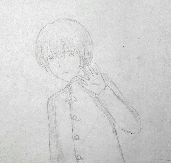 菊さん