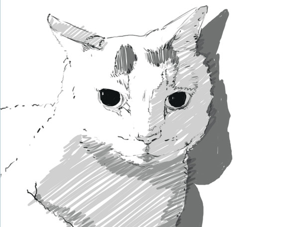 猫落書き