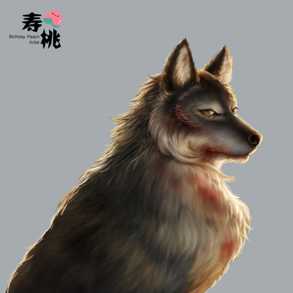 The wolf