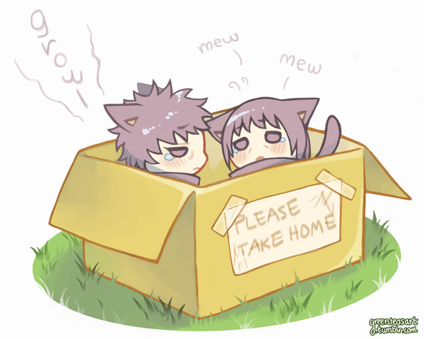 猫耳まとめ