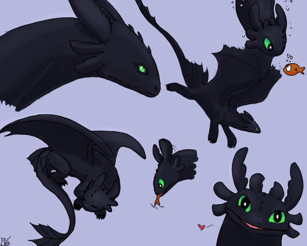 night fury!