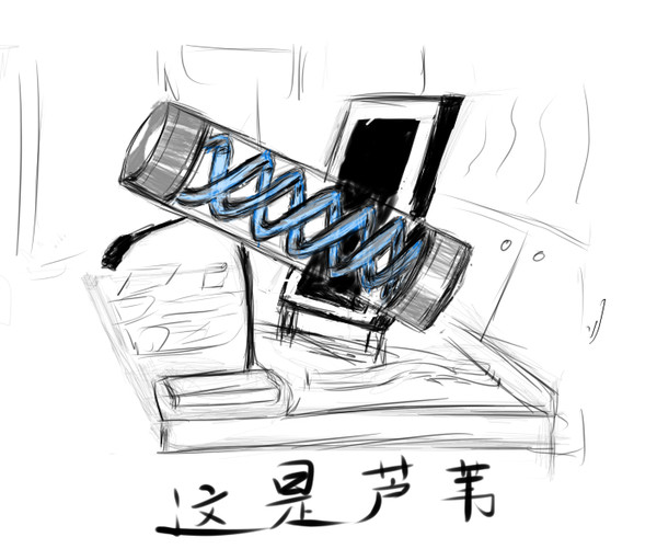 这是芦苇