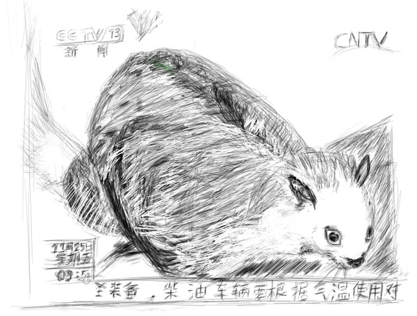 天猫