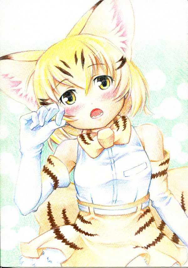 いろえんぴつでスナネコ
