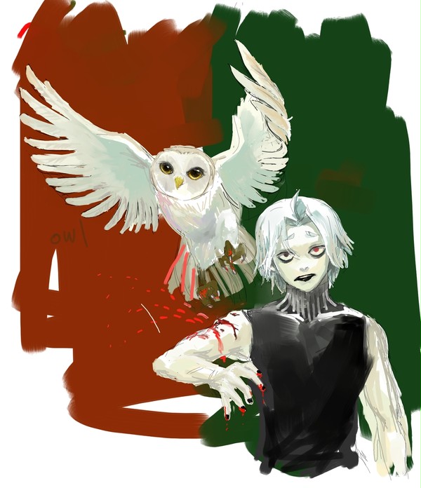 Seido takizawa
