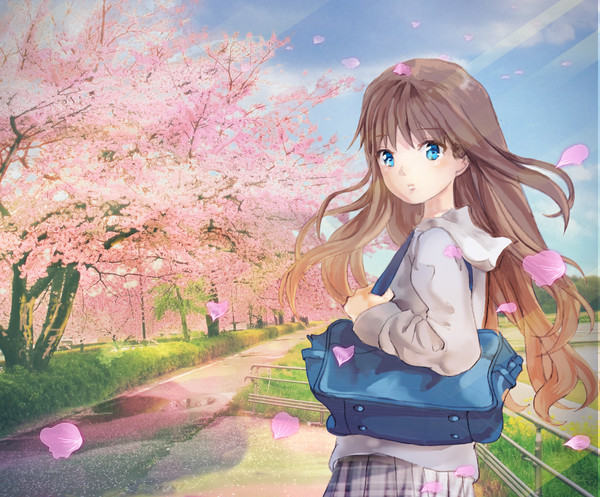 桜の季節