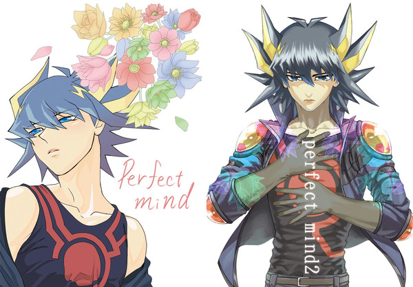 perfectmind 全部詰め