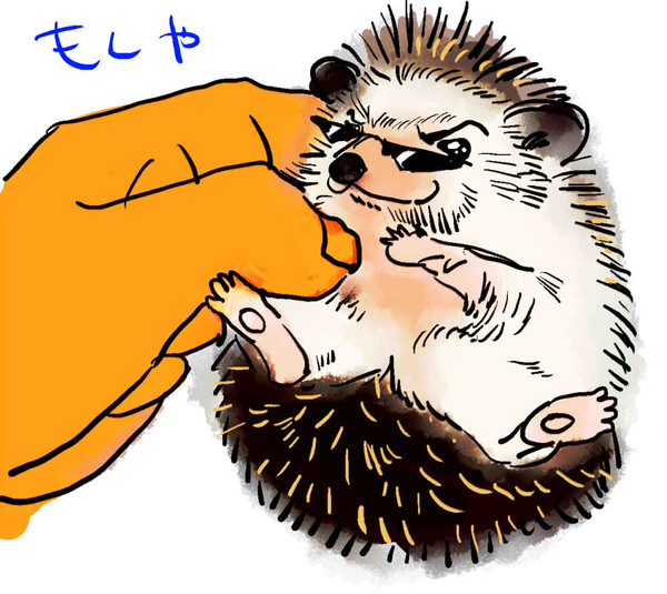 ぐちゃごちゃ