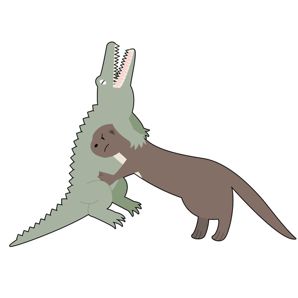 ワニと戦うオオカワウソ