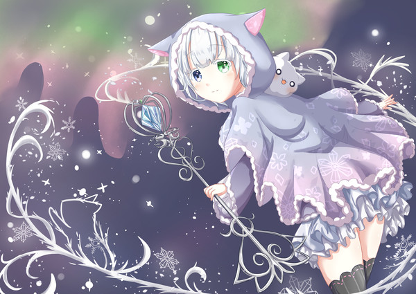 ゆきねこ　オーロラ - 1/2