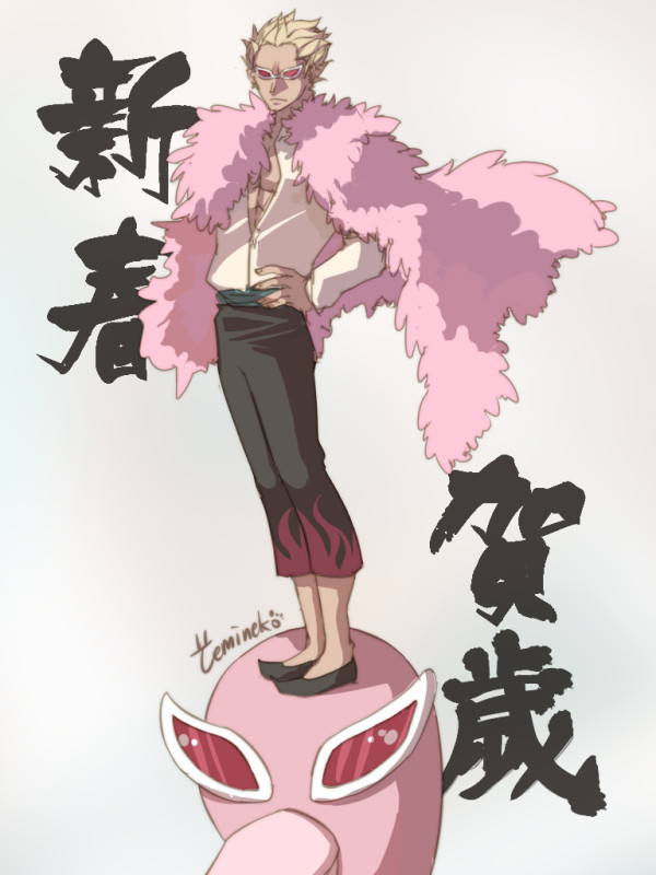 one pieceログ②(中国語ある)