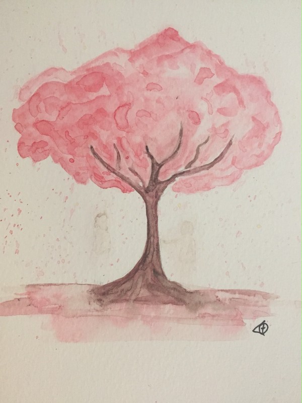櫻花樹