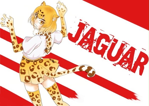 けものフレンズ見ました