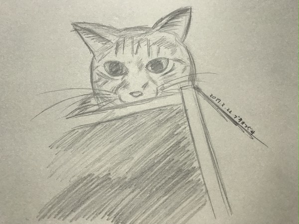 猫の日2017