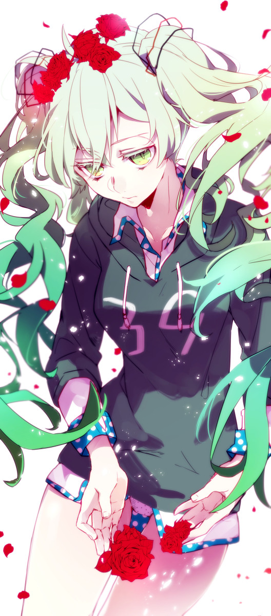 エアプランツミクちゃん