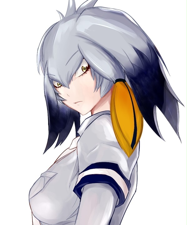 ハシビロさん